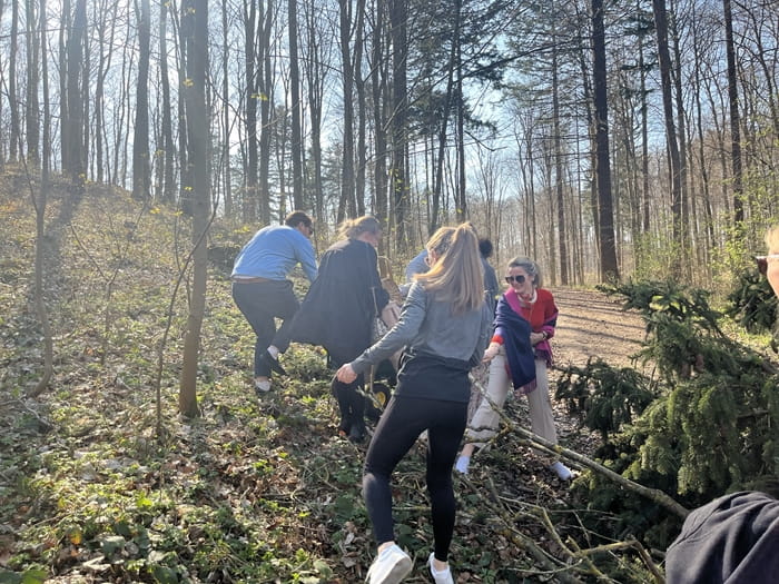 Colleagues hiking through a forest during a team offsite